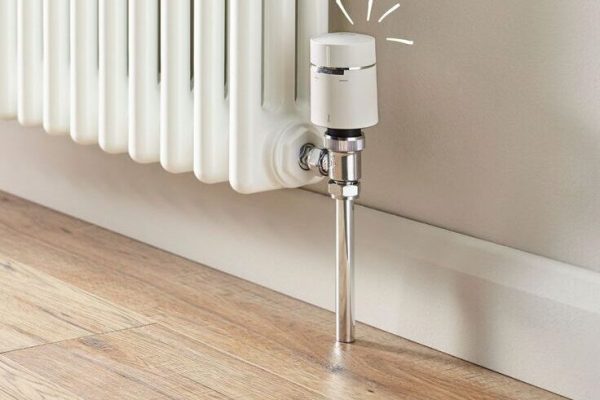 WhatsApp Image 2025-06-01 at 8.10.13 AM